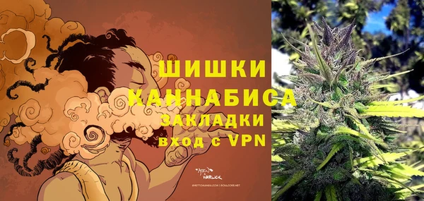 крисы Гусиноозёрск