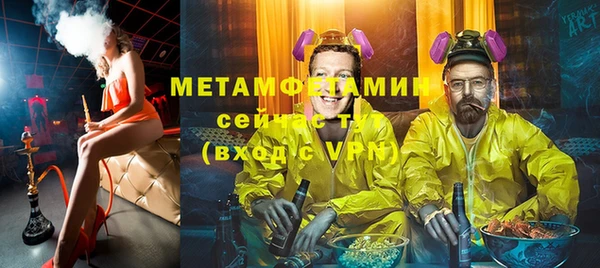 ПСИЛОЦИБИНОВЫЕ ГРИБЫ Дмитриев
