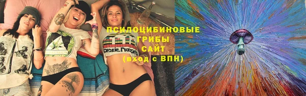 гидра Дмитровск