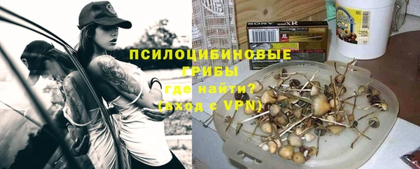 ПСИЛОЦИБИНОВЫЕ ГРИБЫ Дмитриев