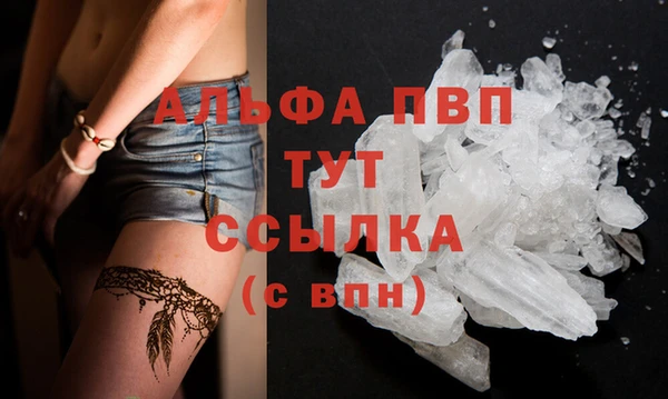 ПСИЛОЦИБИНОВЫЕ ГРИБЫ Дмитриев