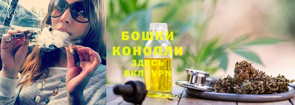 крисы Гусиноозёрск