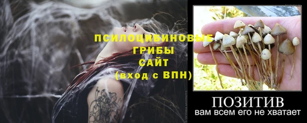 крисы Гусиноозёрск