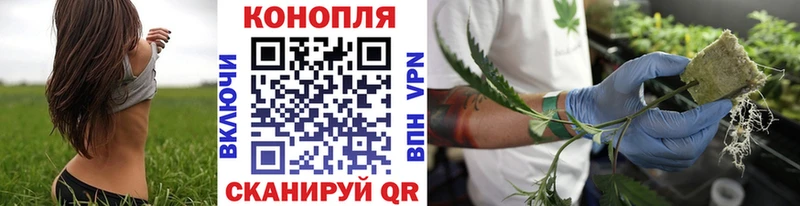 Марихуана SATIVA & INDICA  Купить  Белозерск 